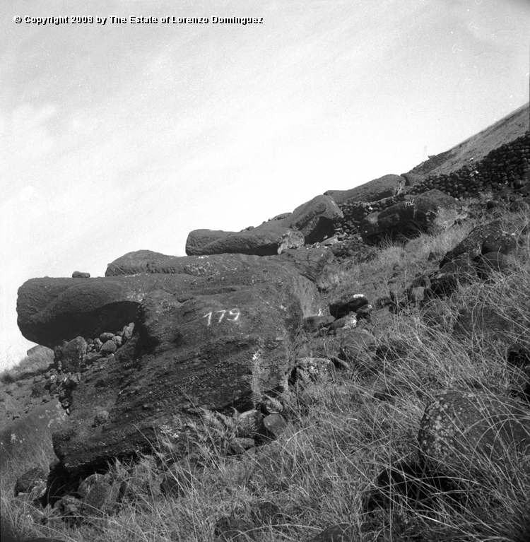 TAM_Moai_01.jpg - Easter Island. 1960. Ahu Tongariki. Moai fallen over the ahu wall.  Photograph taken shortly before the destruction of the ahu by the tsunami of May 22, 1960.